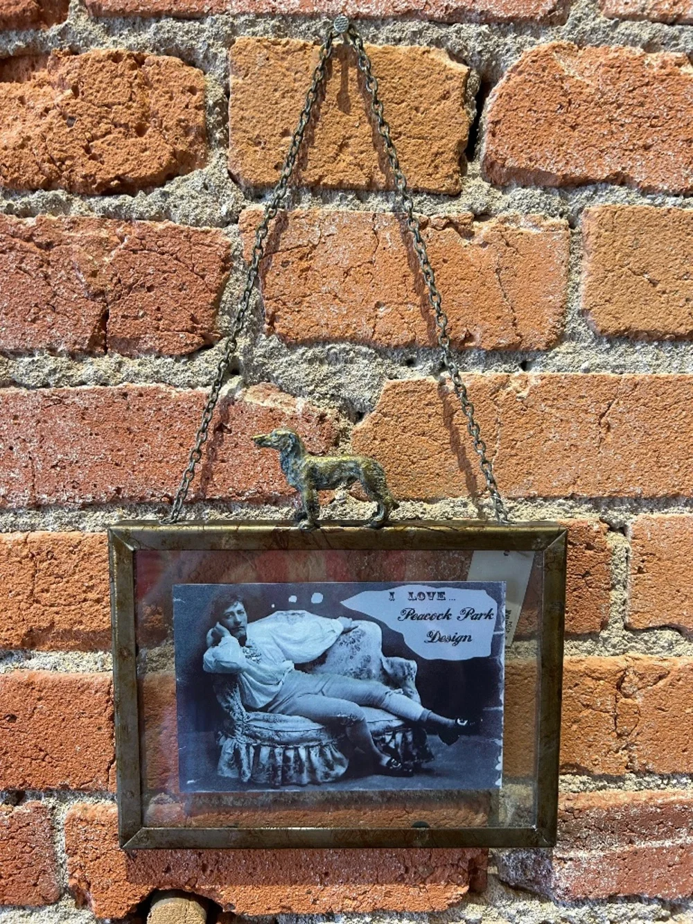 Glass and metal dog frame